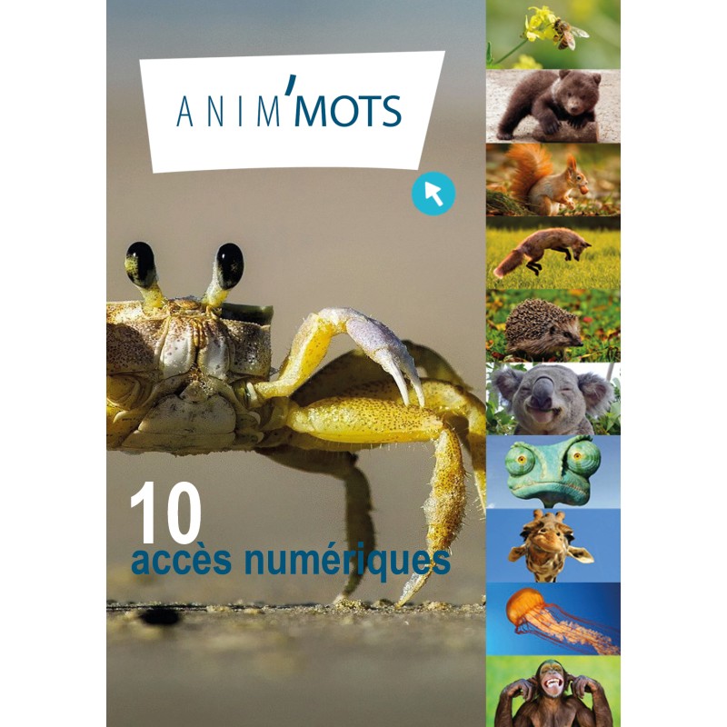 10 accès de l'application Anim'Mots