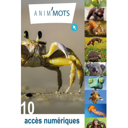 10 accès de l'application Anim'Mots