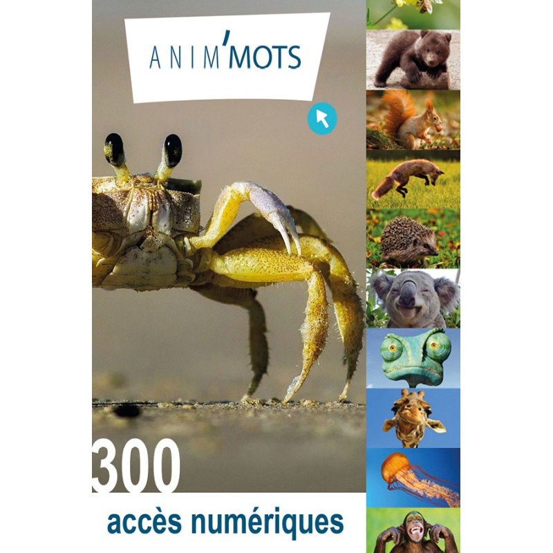 300 accès de l'application Anim'Mots