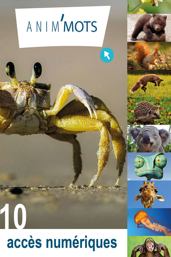 10 accès de l'application Anim'Mots