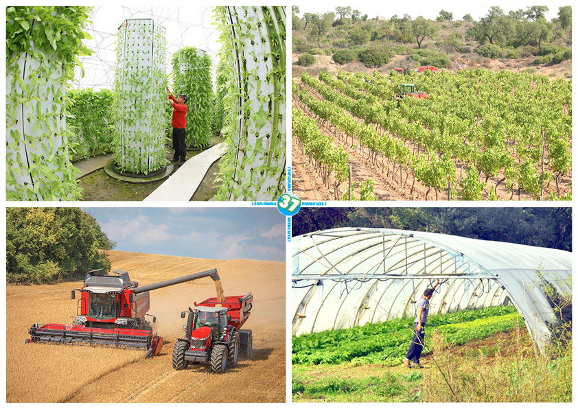 photo d'environnements professionnels nature