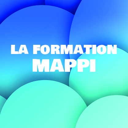 photo pour la formation mappi