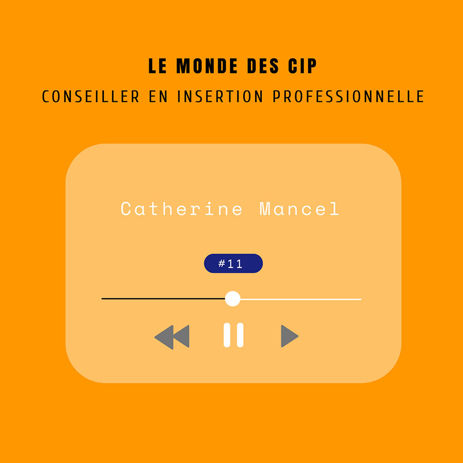 le monde des cip - conseiller en insertion professionnnelle