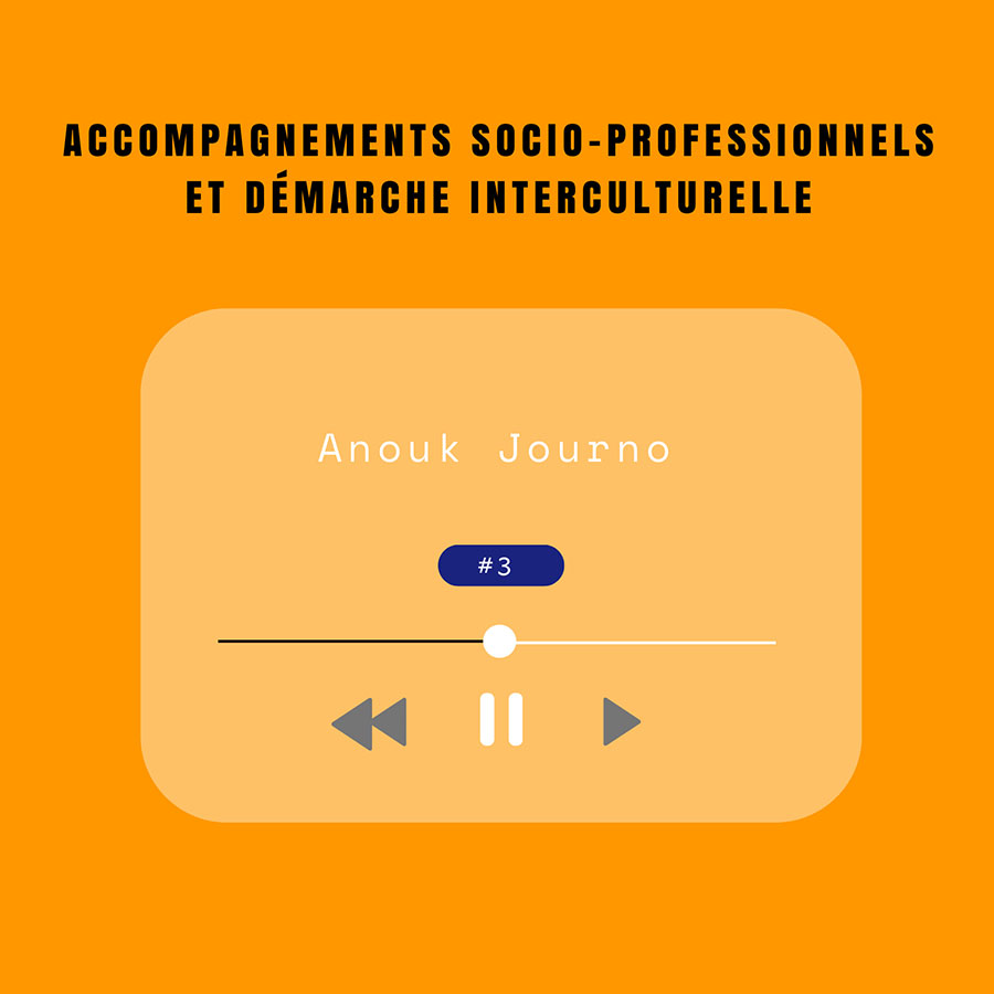 Accompagnements socio-professionnels et démarche interculturelle